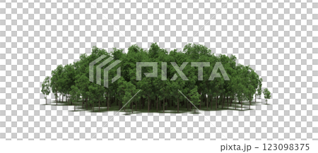 group of trees with a shadow under it, isolated on a transparent background, 3D illustration, cg render group of trees with a shadow under it, isolated on a transparent background, 3D illustration, cg render 123098375
