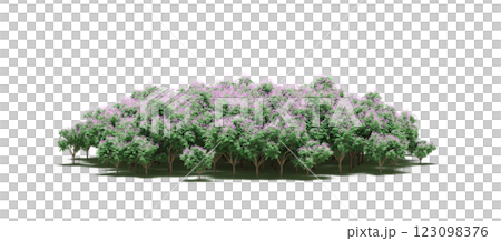 group of trees with a shadow under it, isolated on a transparent background, 3D illustration, cg render 123098376