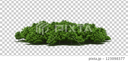 group of trees with a shadow under it, isolated on a transparent background, 3D illustration, cg render 123098377