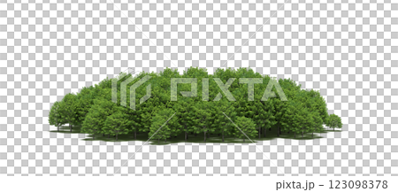 group of trees with a shadow under it, isolated on a transparent background, 3D illustration, cg render group of trees with a shadow under it, isolated on a transparent background, 3D illustration, cg render 123098378