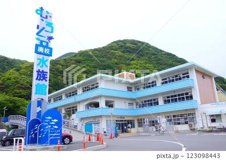 廃校になった小学校を改装した「むろと廃校水族館」 廃校になった小学校を改装した「むろと廃校水族館」 123098443
