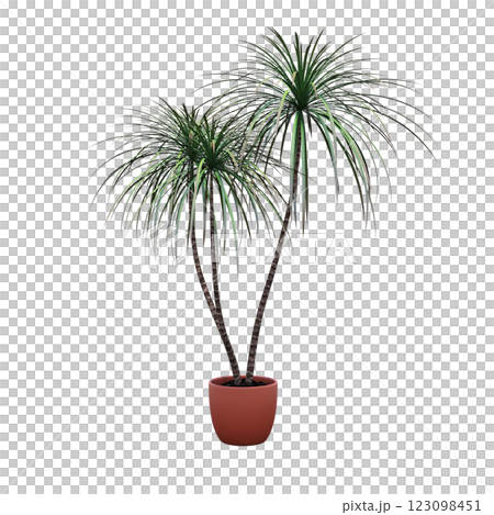 decorative flower in a pot isolate on a transparent background, 3D illustration, cg render 123098451
