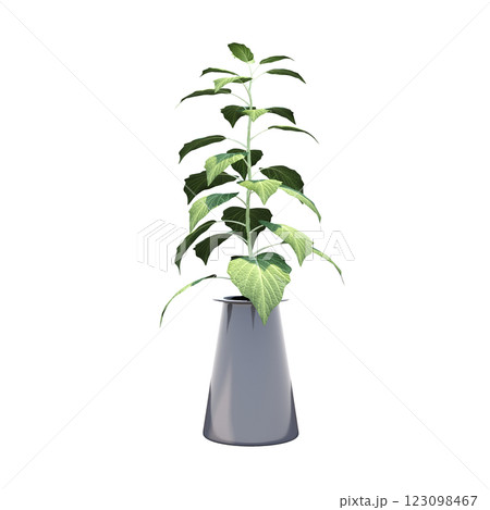 decorative flower in a pot isolate on a transparent background, 3D illustration, cg render 123098467