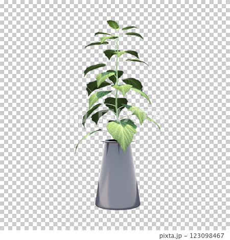 decorative flower in a pot isolate on a transparent background, 3D illustration, cg render 123098467