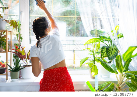 Woman manually washes the window of house with rag cleaner and mop inside the interior with home plants on windowsill. Restoring order and cleanliness in the spring, cleaning servise 123098777