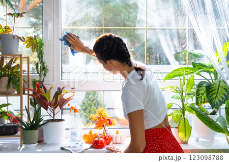 Woman manually washes the window of house with rag cleaner and mop inside the interior with home plants on windowsill and pumpkin decor. Restoring order and cleanliness in autumn, cleaning servise Woman manually washes the window of house with rag cleaner and mop inside the interior with home plants on windowsill and pumpkin decor. Restoring order and cleanliness in autumn, cleaning servise 123098788
