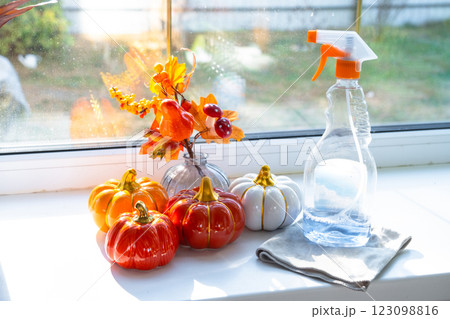 Pumpkin decor and window cleaning products are lying on windowsill with rag, spray inside interior with home plants on windowsill. Restoring order and cleanliness in autumn, cleaning servise Pumpkin decor and window cleaning products are lying on windowsill with rag, spray inside interior with home plants on windowsill. Restoring order and cleanliness in autumn, cleaning servise 123098816