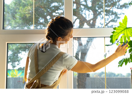 Woman in apron manually washes the window of house with rag cleaner and mop inside the interior with home plants on windowsill. Restoring order and cleanliness in the spring, cleaning servise 123099088