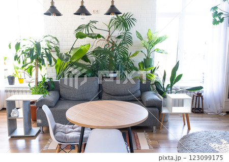 Modern loft-style village interior of house with large potted plants, gray sofa, empty round table, a striped rug, and large windows. 123099175