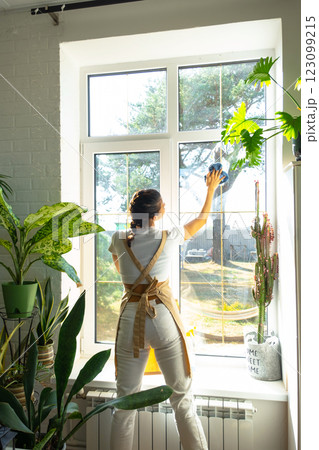 Woman in apron manually washes the window of house with rag cleaner and mop inside the interior with home plants on windowsill. Restoring order and cleanliness in the spring, cleaning servise Woman in apron manually washes the window of house with rag cleaner and mop inside the interior with home plants on windowsill. Restoring order and cleanliness in the spring, cleaning servise 123099215