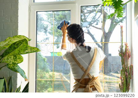 Woman in apron manually washes the window of house with rag cleaner and mop inside the interior with home plants on windowsill. Restoring order and cleanliness in the spring, cleaning servise Woman in apron manually washes the window of house with rag cleaner and mop inside the interior with home plants on windowsill. Restoring order and cleanliness in the spring, cleaning servise 123099220
