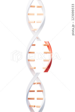 立体 3次元 3D 123099333