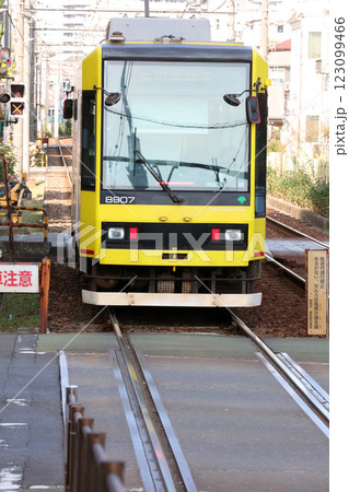 都電荒川線 都電荒川線 123099466
