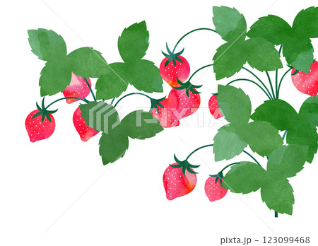 いちごのイラスト 123099468