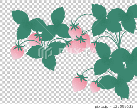 いちごのイラスト 123099532