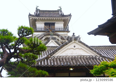 雨の日の高知城 天守閣 123099586