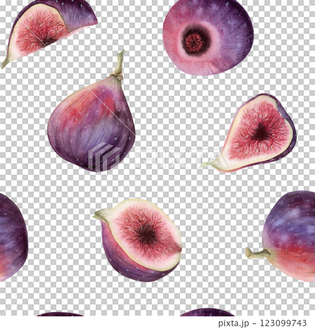 Watercolor purple figs seamless pattern on white. Whole and cut summer fruits repeat background in realistic botanical style with halved berries. Hand drawn simple backdrop 123099743