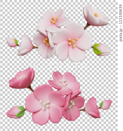 white pink color cherry blossoms 3D graphic white pink color cherry blossoms 3D graphic 123100639