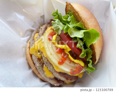 ダブルチーズバーガー 肉厚ダブルパティのチーズバーガー 123100789