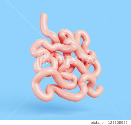 3d small intestine, bowel, human internal organ of digestive system. Anatomy duodenum, jejunum, ileum. Medical and gastroenterology concept. Isolated gut abdominal Cartoon render icon. 3D illustration 123100935