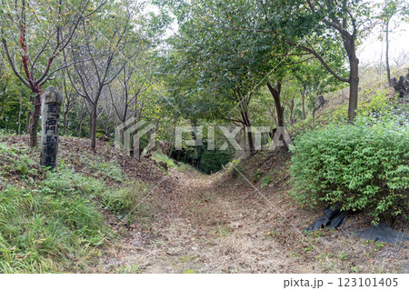 北熊井城跡 西一の郭空堀 北熊井城跡 西一の郭空堀 123101405