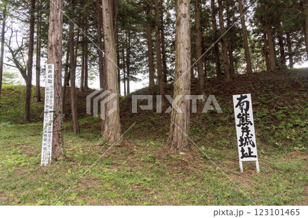 南熊井城跡に残る土塁と虎口 南熊井城跡に残る土塁と虎口 123101465
