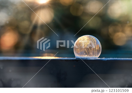 Frozen bubble in nature. A beautiful macro shot of nature in winter. Concept for environment, water and frost. 123101509