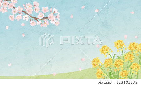 桜と菜の花の春の水彩風の背景イラスト 123101535