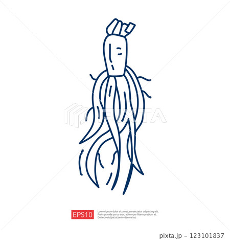 A simple line drawing of a squid, featuring a rounded head and elongated tentacles, emphasizing a minimalist style. 123101837