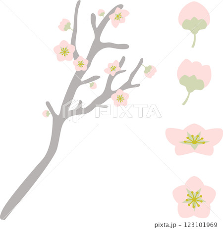 シンプルでオシャレな梅の花のイラスト素材セット 123101969