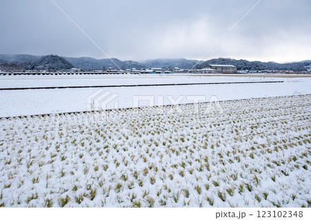 甑山と今木山と因幡国庁跡の雪景色 鳥取県鳥取市国府町 甑山と今木山と因幡国庁跡の雪景色 鳥取県鳥取市国府町 123102348