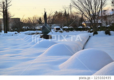 雪景色　チューリップ四季彩館前 123102435
