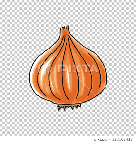 Onion, watercolor style 123102438