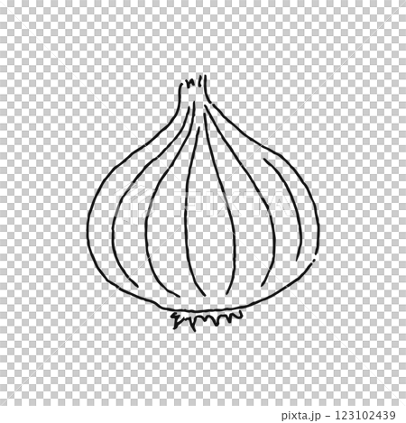Onion line drawing Onion line drawing 123102439