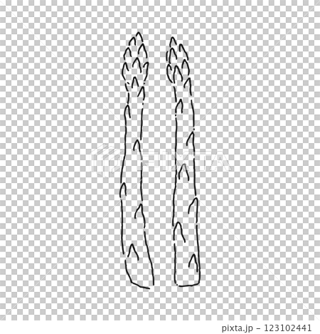 アスパラガス 線画 アスパラガス 線画 123102441