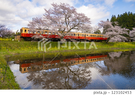 小湊鉄道春の飯給駅 123102453