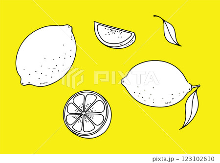シンプルなレモンの線画のイラスト 123102610