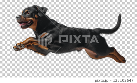 Dog leaps joyfully in a dynamic side view against a clean white background 123102647