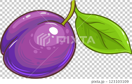 plum fruit vector isolated 123103109