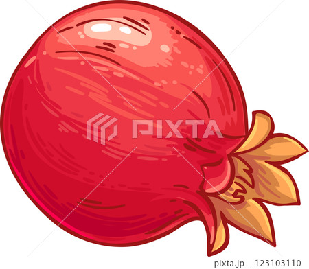 Pomegranate Fruit Colored Detailed Illustration Pomegranate Fruit Colored Detailed Illustration 123103110
