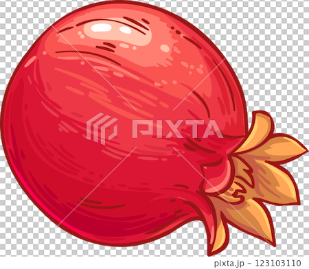 Pomegranate  Fruit  Colored Detailed Illustration 123103110