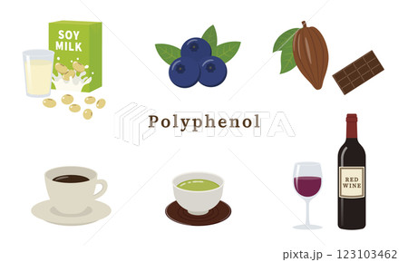 ポリフェノールを含む食品イラストのセット 123103462