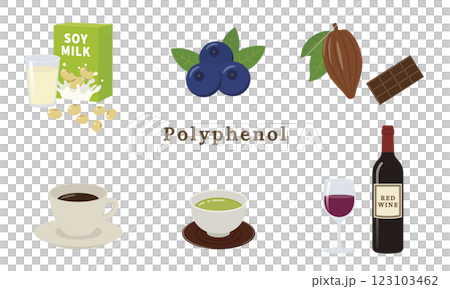 ポリフェノールを含む食品イラストのセット 123103462