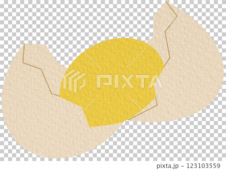 Broken eggs. Organic farm chicken eggs. Vector illustration on white background. 123103559