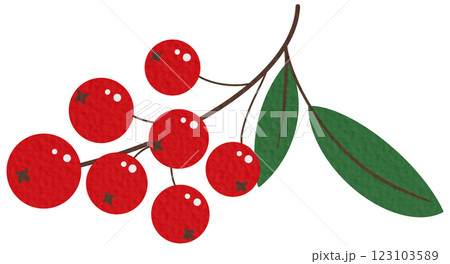 Rowan tree branch with leaves and berries. Vector illustration isolated on white background. Mountain ash summer design. Rowan tree branch with leaves and berries. Vector illustration isolated on white background. Mountain ash summer design. 123103589