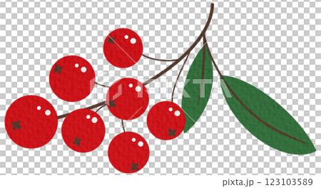 Rowan tree branch with leaves and berries. Vector illustration isolated on white background. Mountain ash summer design. 123103589