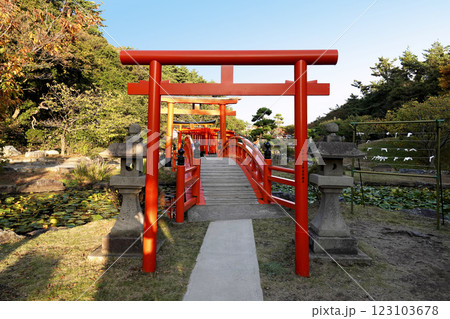 神社の境内 池に架かる橋と鳥居 123103678