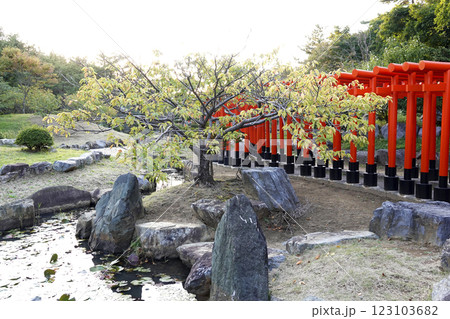 神社境内にある千本鳥居と日本の庭園 123103682