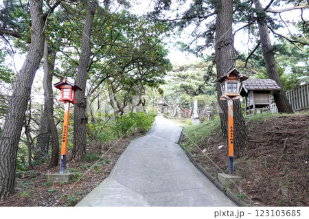 なだらかな斜面に建つ神社の参道と灯篭 なだらかな斜面に建つ神社の参道と灯篭 123103685