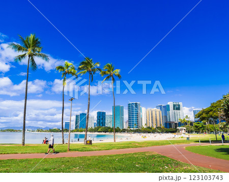 ハワイ　マジック・アイランド 123103743